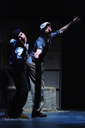Mauro D'Amico, Lorenzo Tolusso