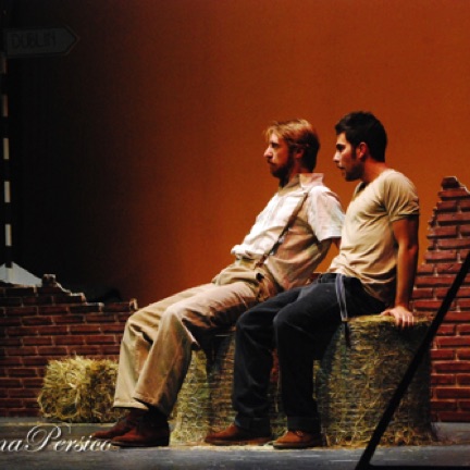 Mauro D'Amico, Lorenzo Tolusso