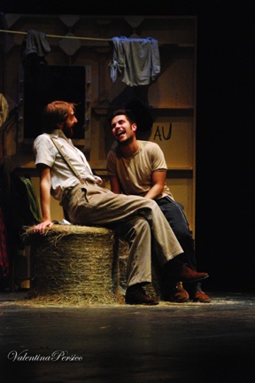 Mauro D'Amico, Lorenzo Tolusso