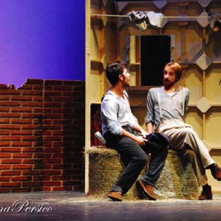Mauro D'Amico, Lorenzo Tolusso