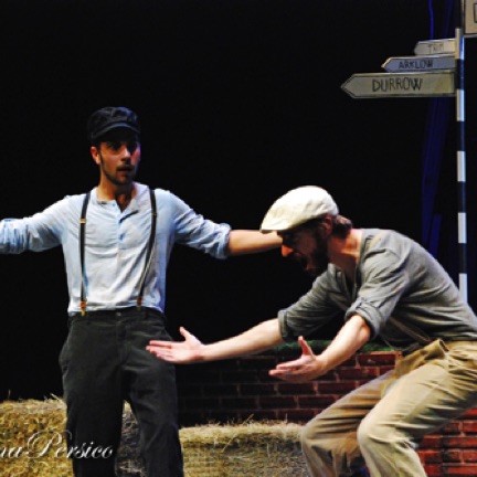Mauro D'Amico, Lorenzo Tolusso