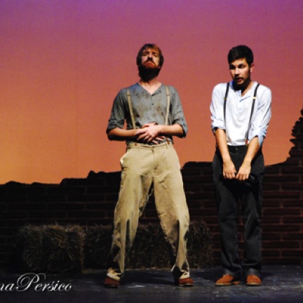 Mauro D'Amico, Lorenzo Tolusso