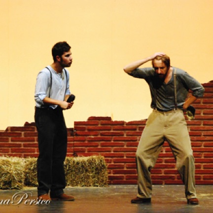 Mauro D'Amico, Lorenzo Tolusso