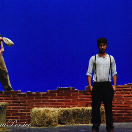 Mauro D'Amico, Lorenzo Tolusso