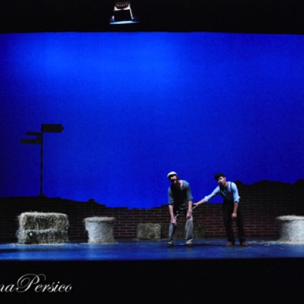 Mauro D'Amico, Lorenzo Tolusso